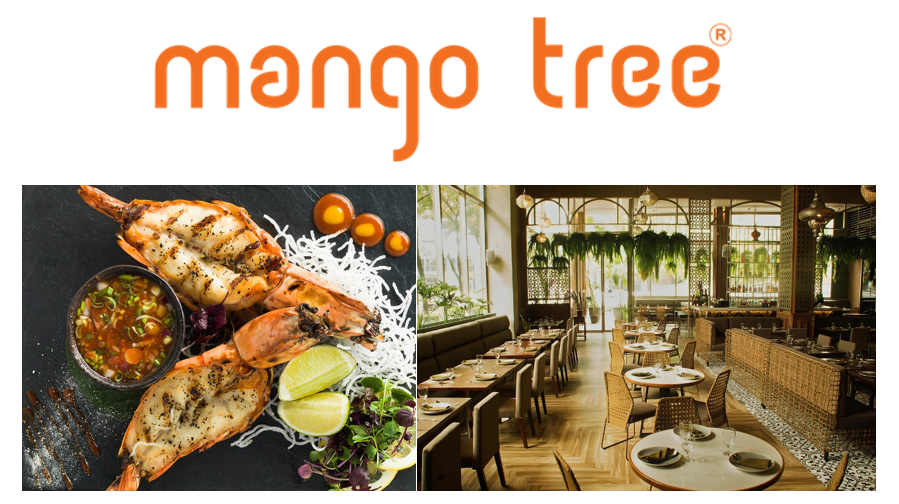 nhuong-quyen-mango-tree