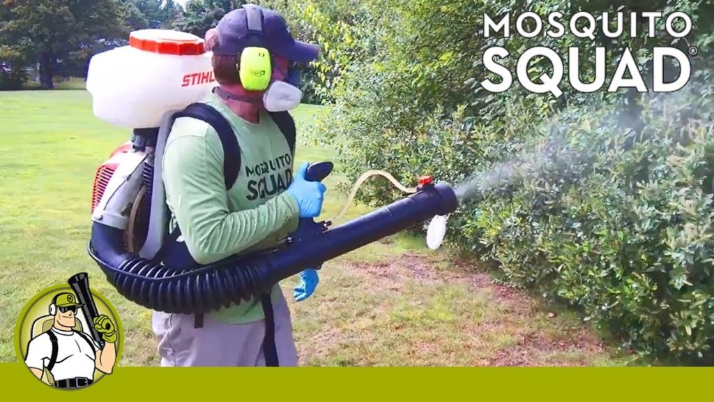 Mosquito Squad 1